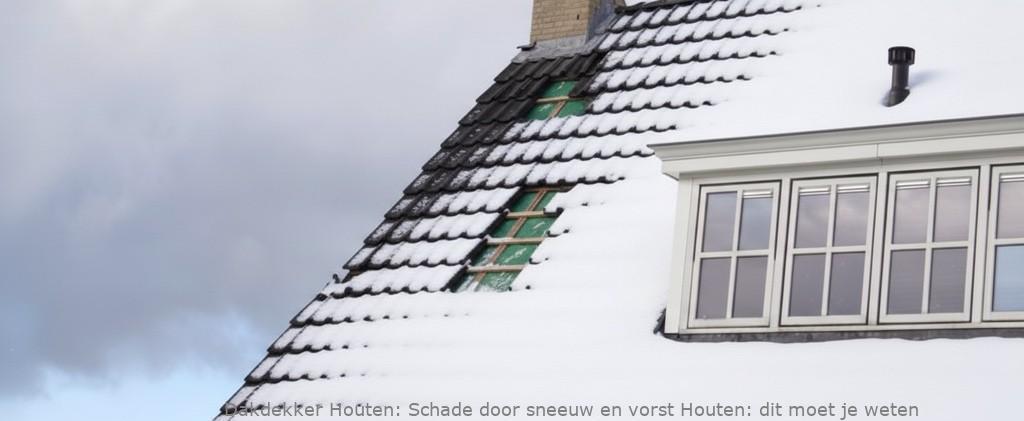 Schade Door Sneeuw En Vorst Houten