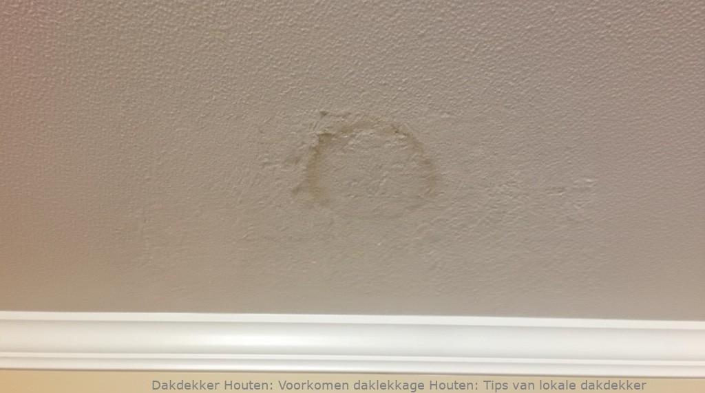 Voorkomen Daklekkage Houten